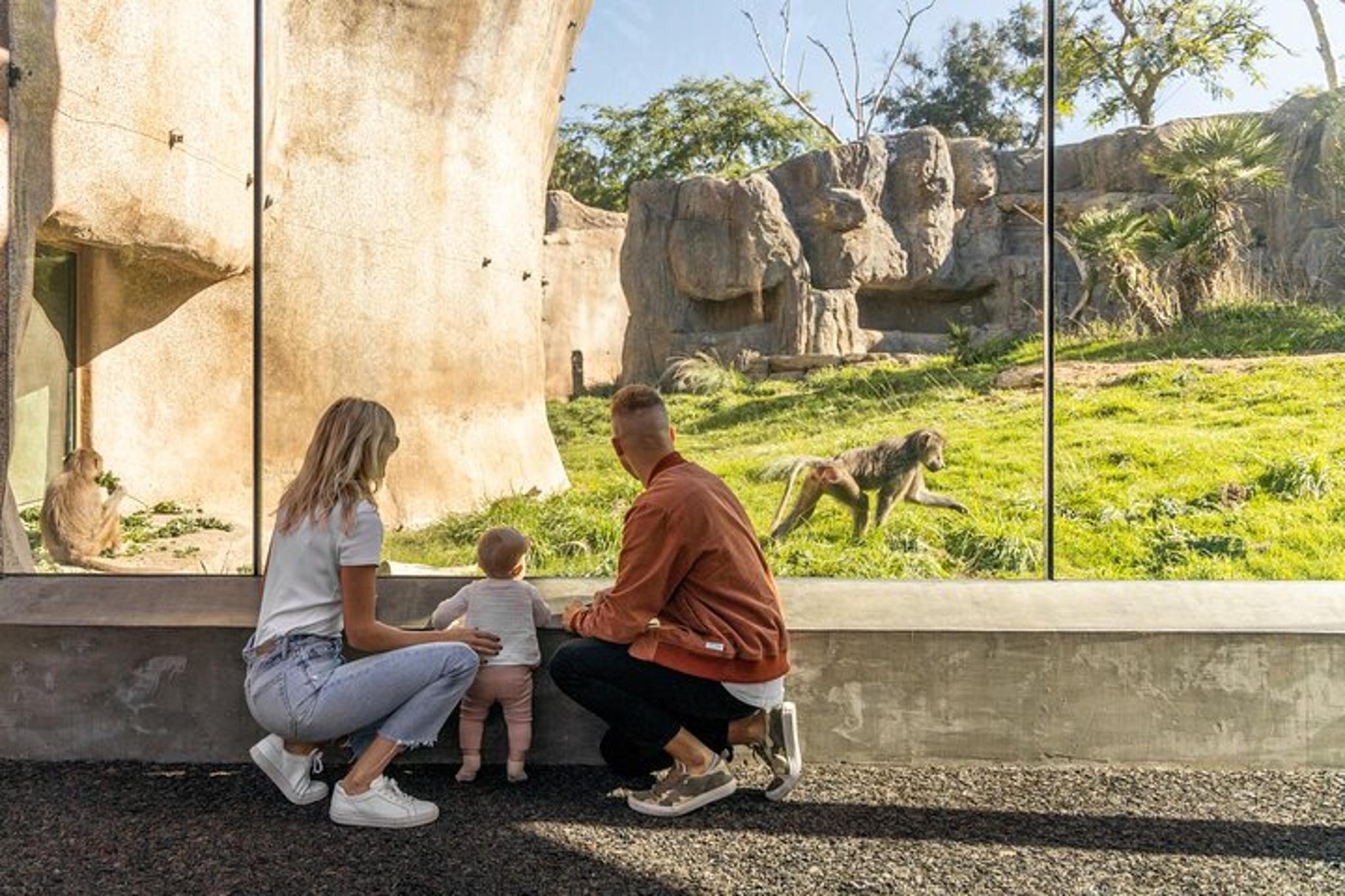 San Diego Explorer Pass - Image 3