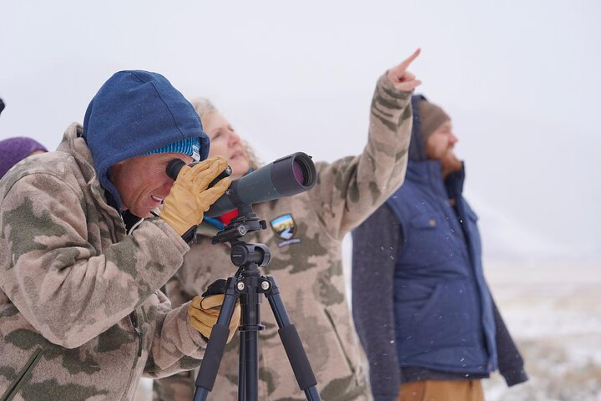 Jackson Hole Wildlife Safari and Sleigh Ride - Image 5