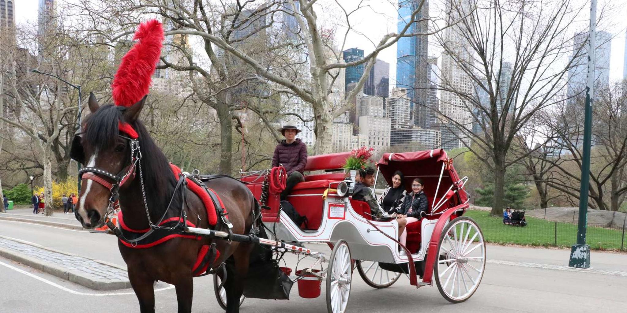 New York Horse Carriage Ride with Tavern on the Green - Image 3