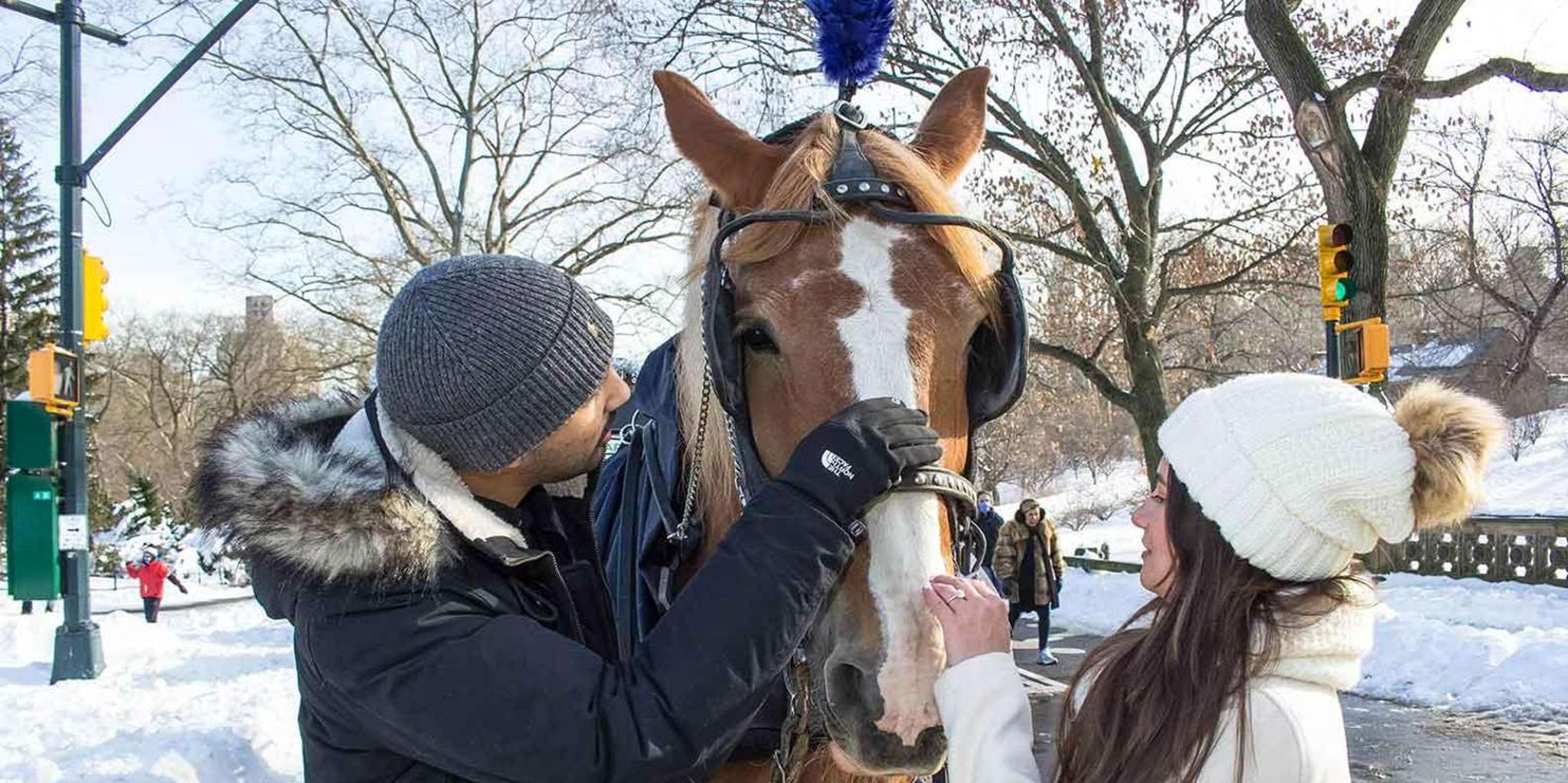 New York City Central Park Horse Carriage Ride 55 min - Image 4