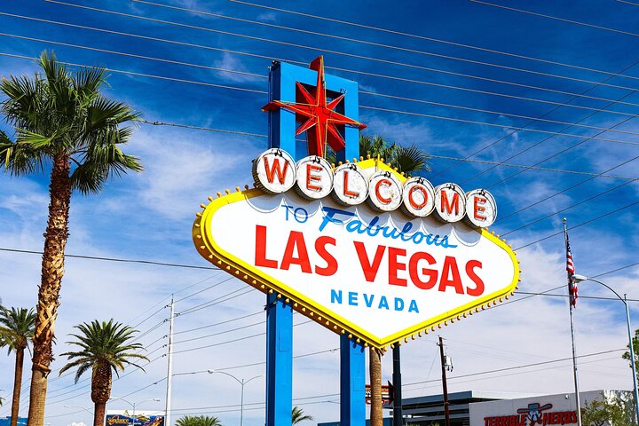 Las Vegas Movie Themed Wedding or Vow Renewal - Image 6