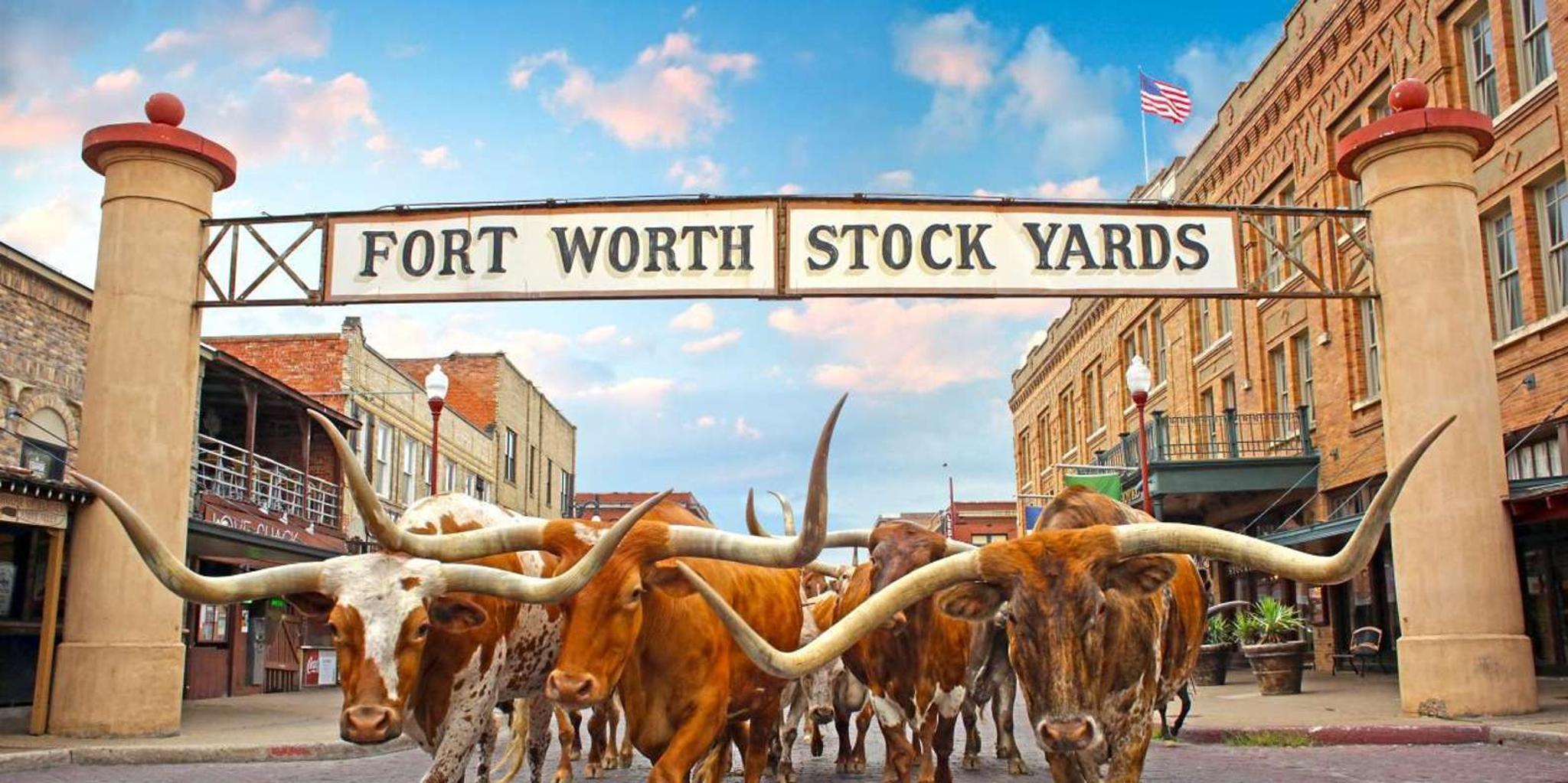 Fort Worth Heritage and Landmarks Open-Air Tour 3 hr - Image 1