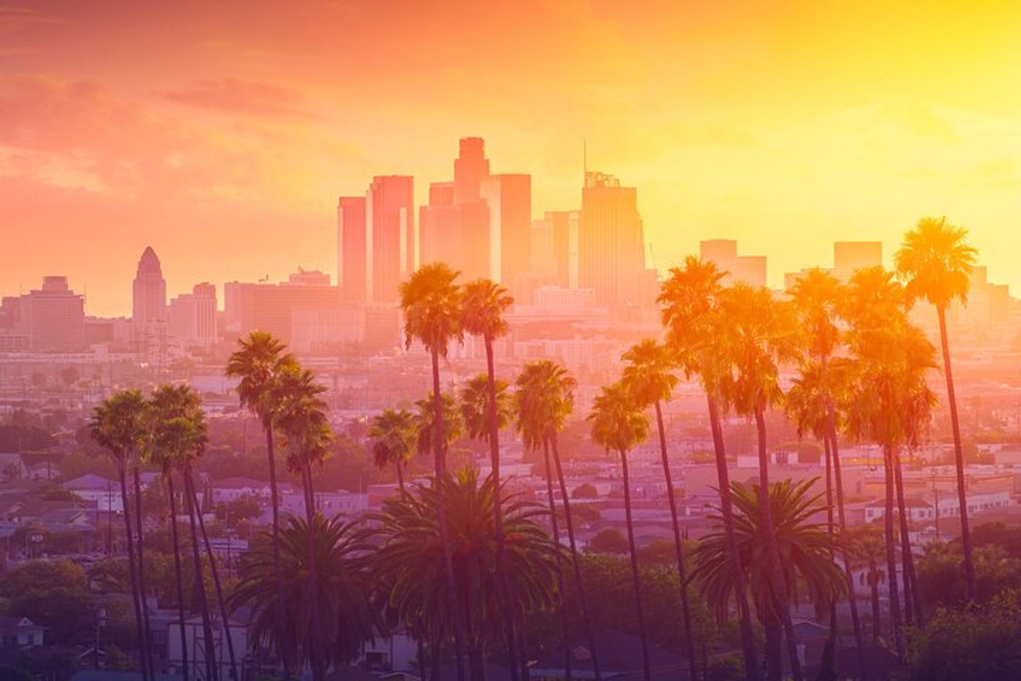 Los Angeles Private Car Tour