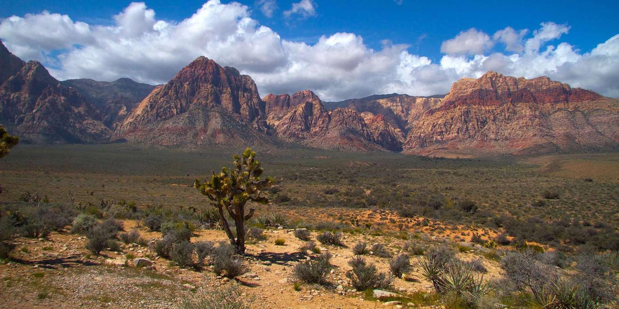 Las Vegas Red Rock Canyon and Seven Magic Mountains Tour - Image 2