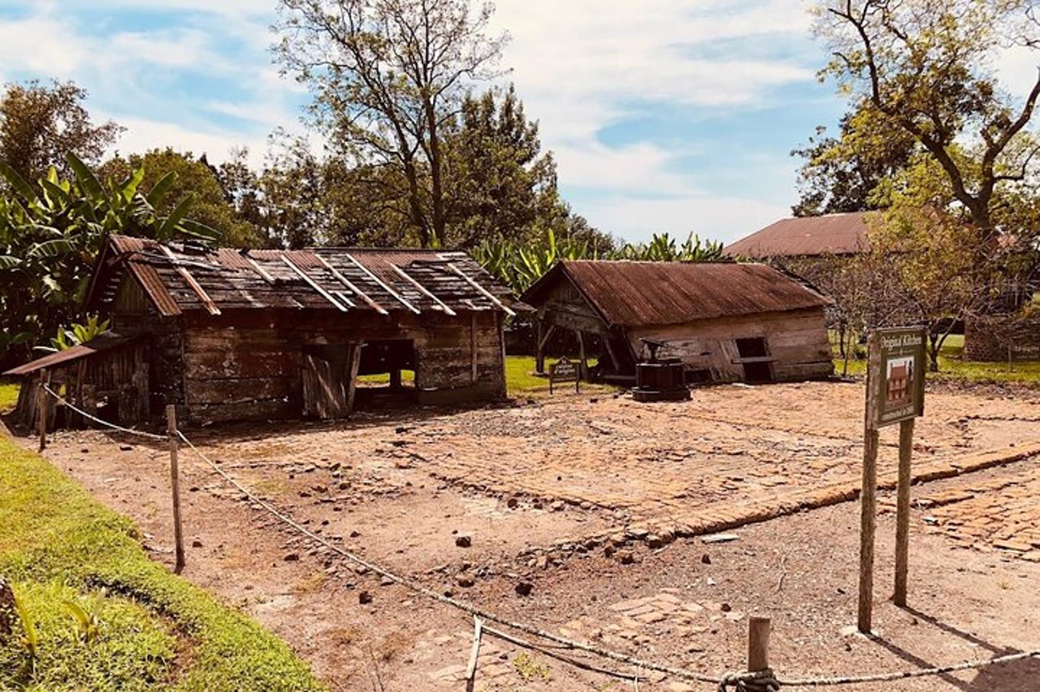 New Orleans Laura Plantation Tour - Image 3