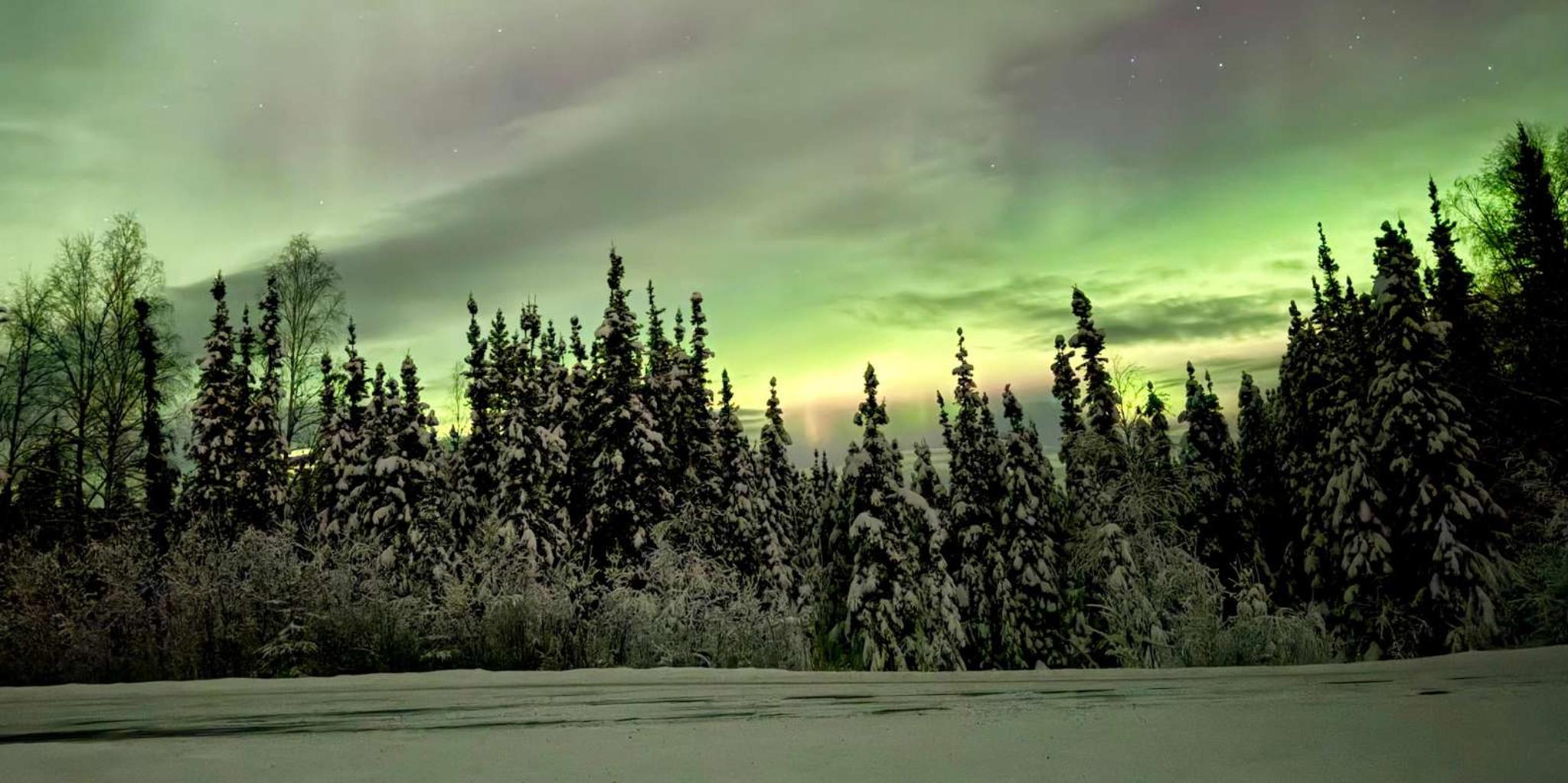 Fairbanks Arctic Circle Northern Lights Tour - Image 6