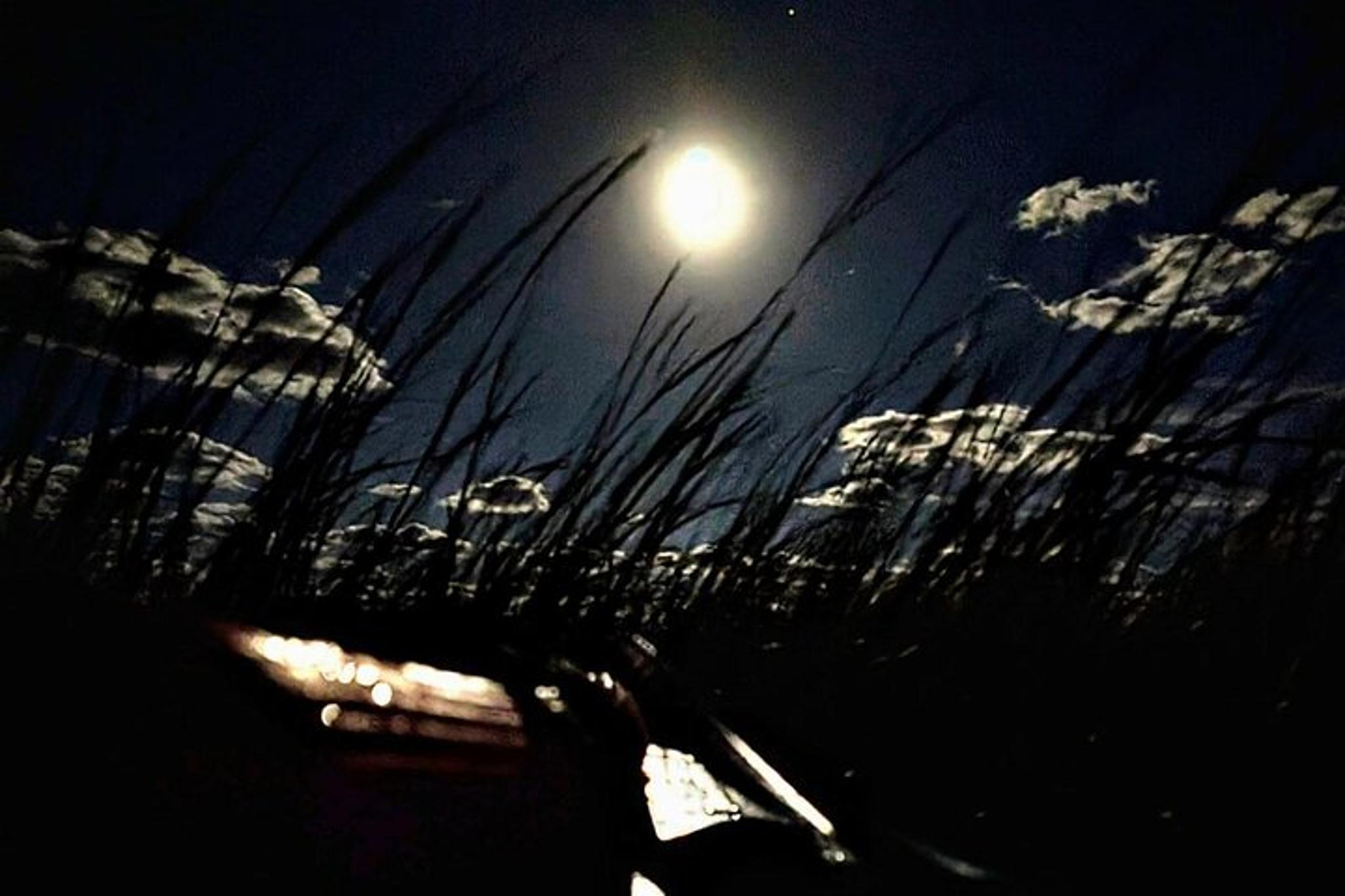 Amelia Island Full Moon Paddle - Image 2