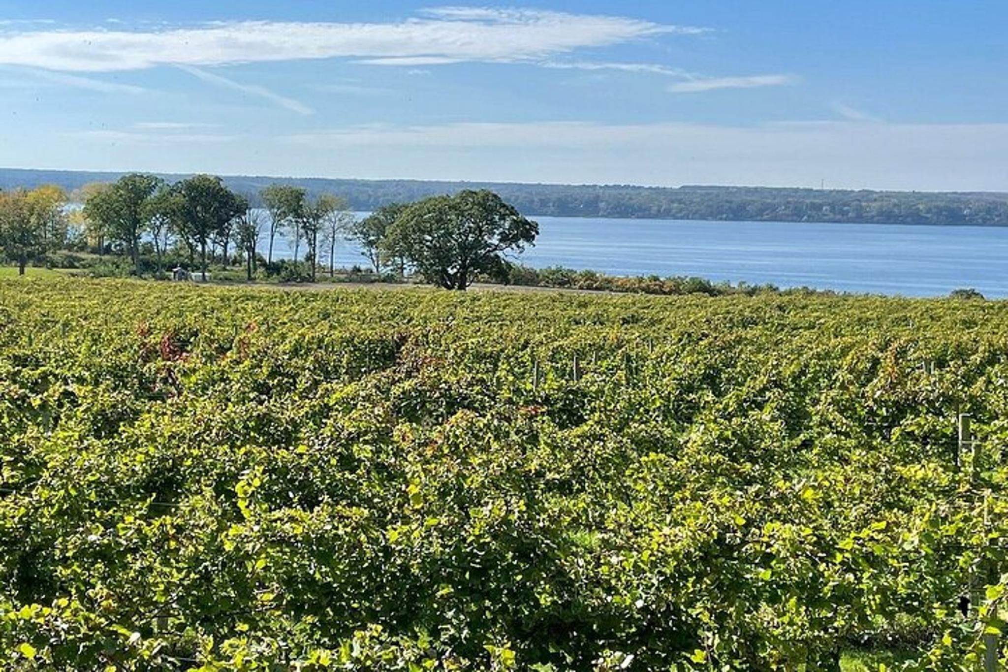 Finger Lakes Private Wine Tour 6 Hr - Image 2