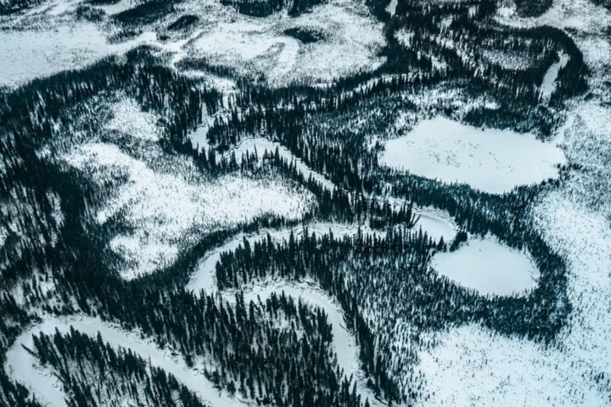 Fairbanks Flightseeing Day Trip with Lunch - Image 5