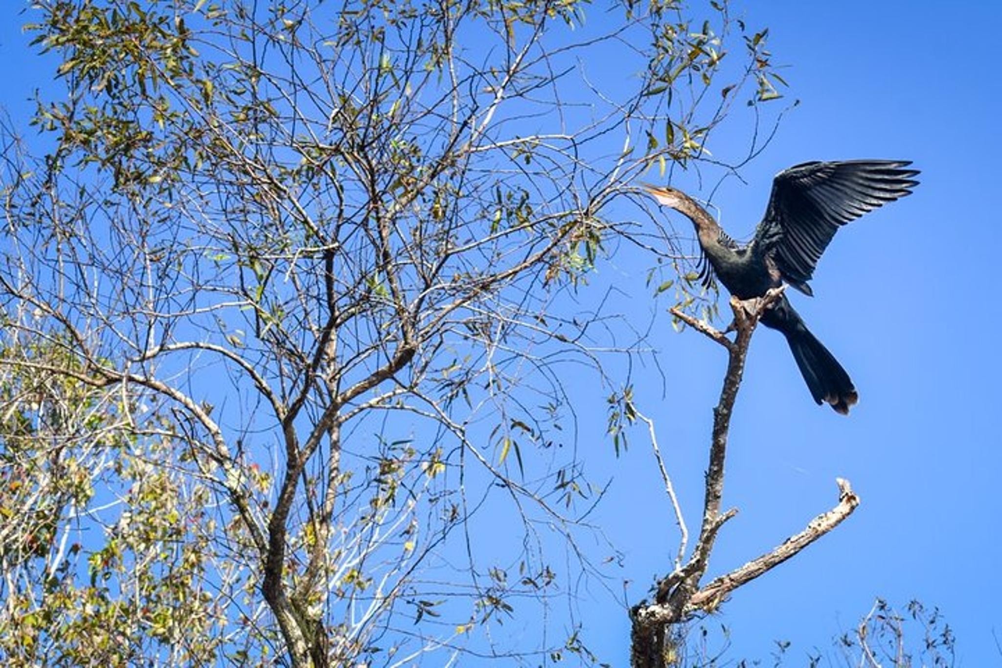 Everglades Guided Kayak Tour - Image 6