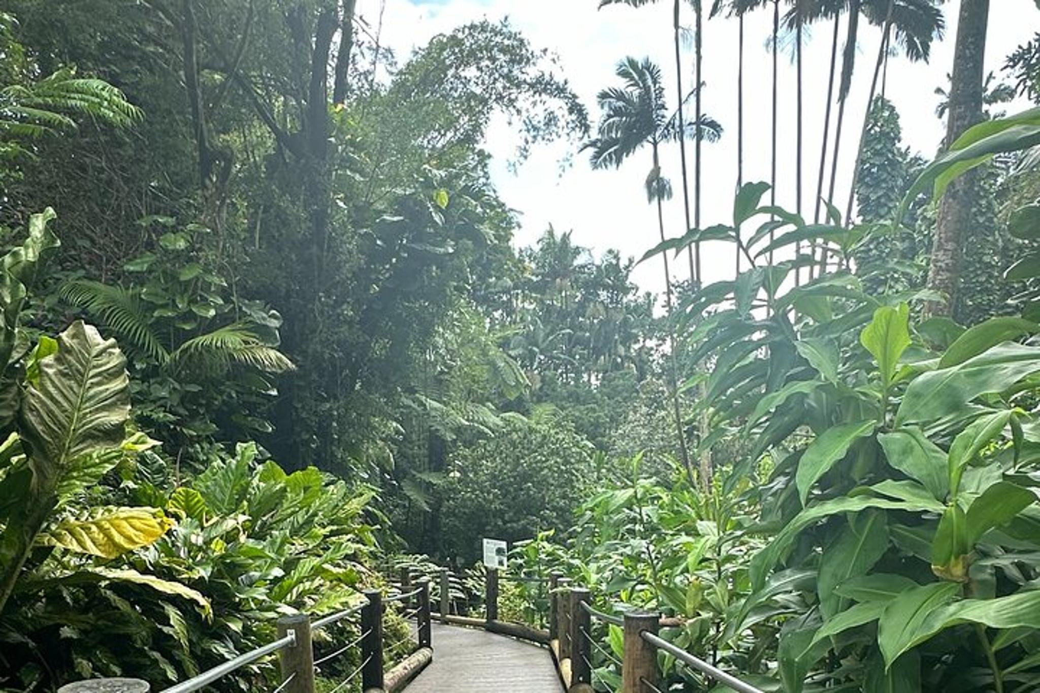 Hawaii Sightseeing Tour - Image 6