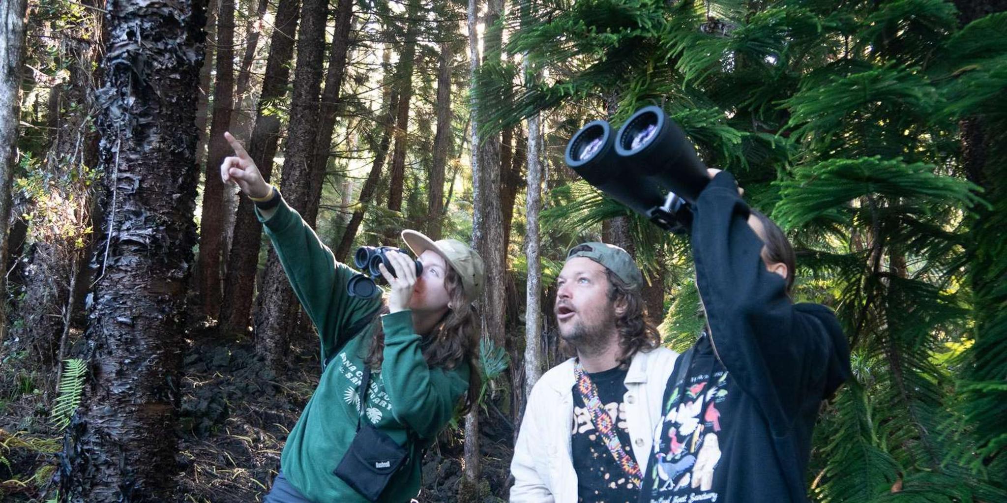 Kailua-Kona Birding Tour in Cloud Forest 2 hr