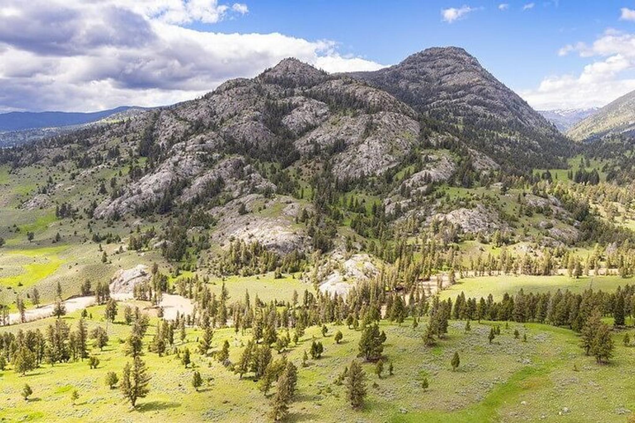 Yellowstone Naturalist Day Hike
