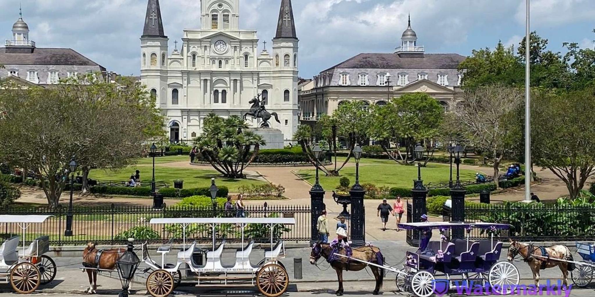 New Orleans Oak Alley Plantation and City Tour - Image 2