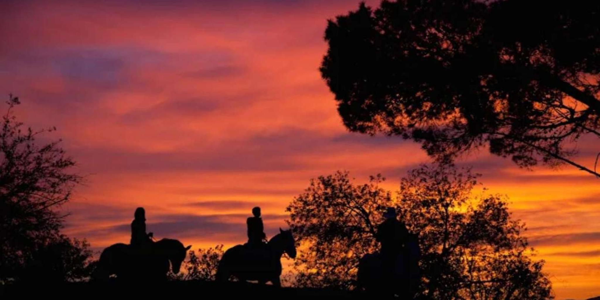 Los Angeles Hollywood Hills Horseback Ride - Image 1