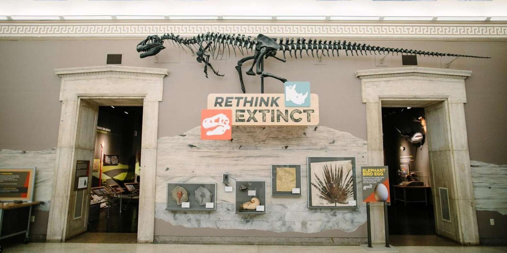 Buffalo Museum of Science Admission Ticket - Image 6