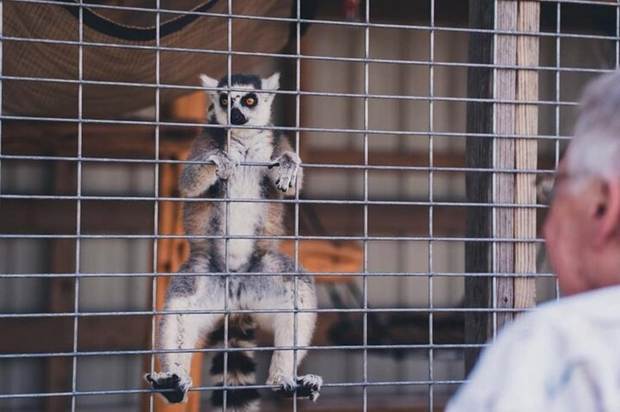 Fredericksburg Wine and Culinary Tour - Image 4