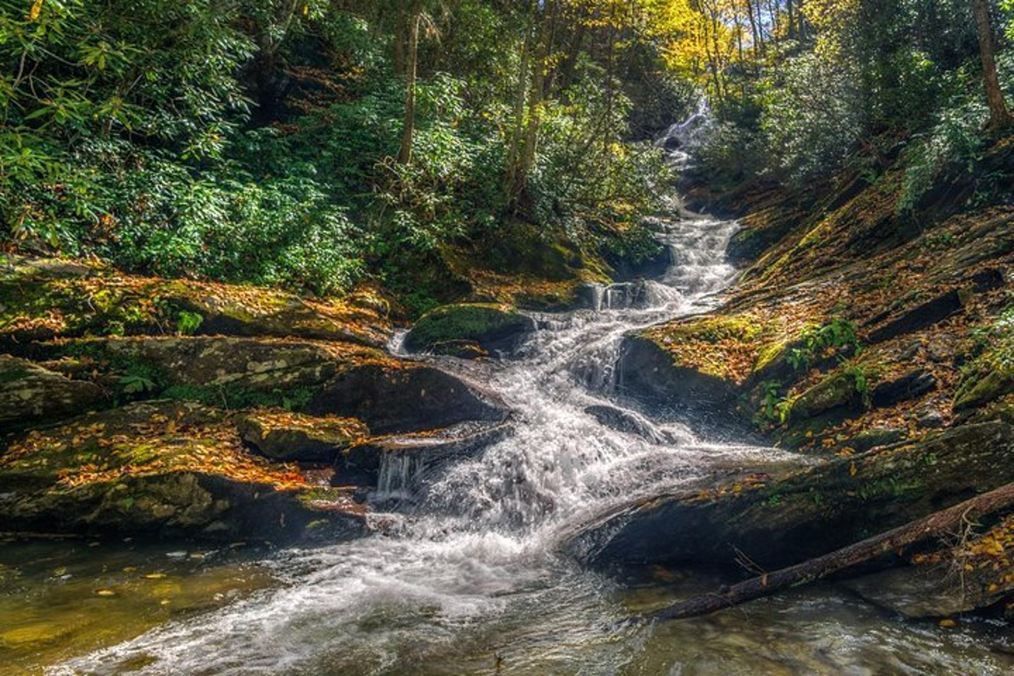Asheville Waterfalls Hike 4 hr - Image 4