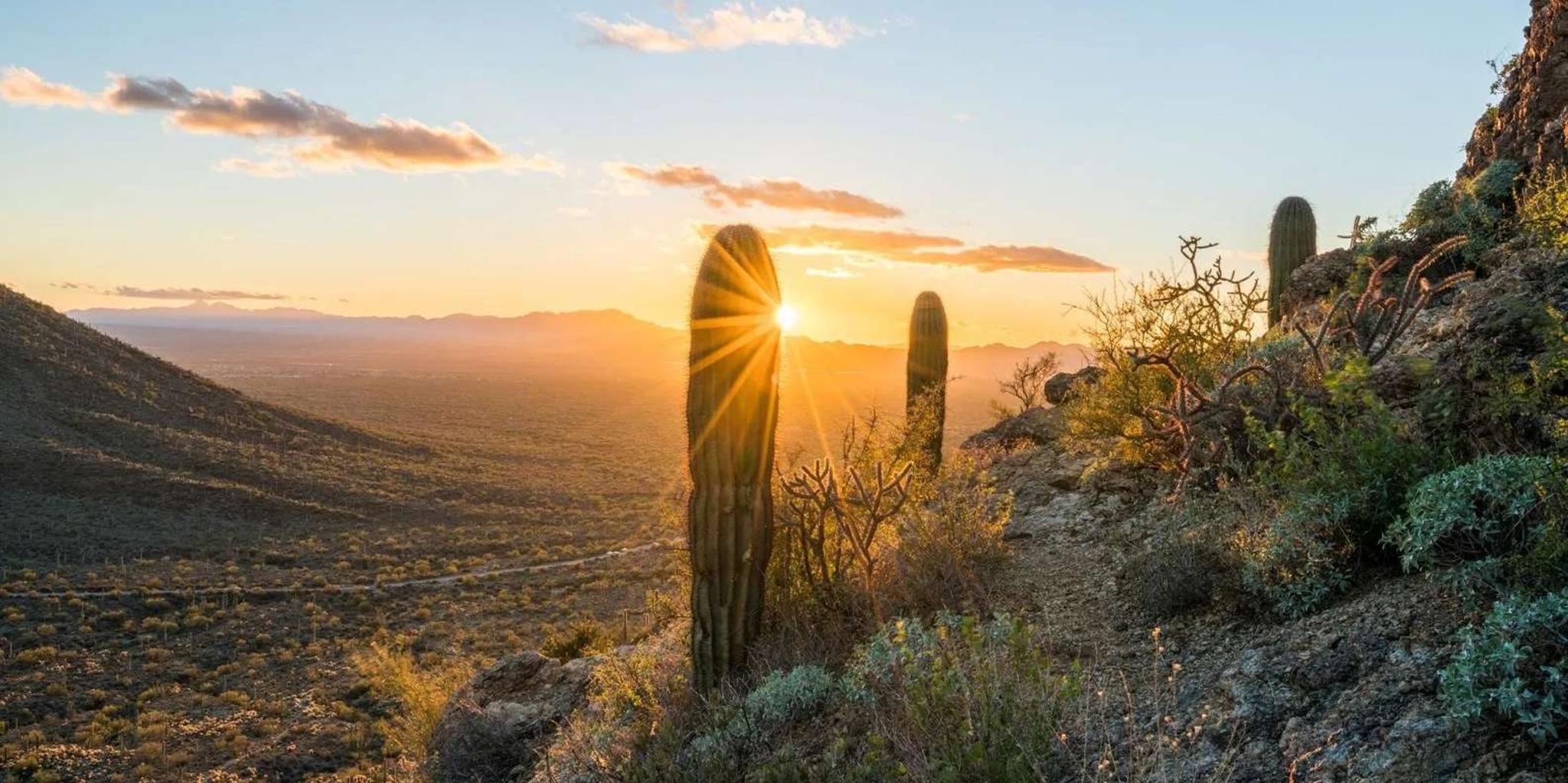Arizona Great Western Trail Jeep Tour - Image 2