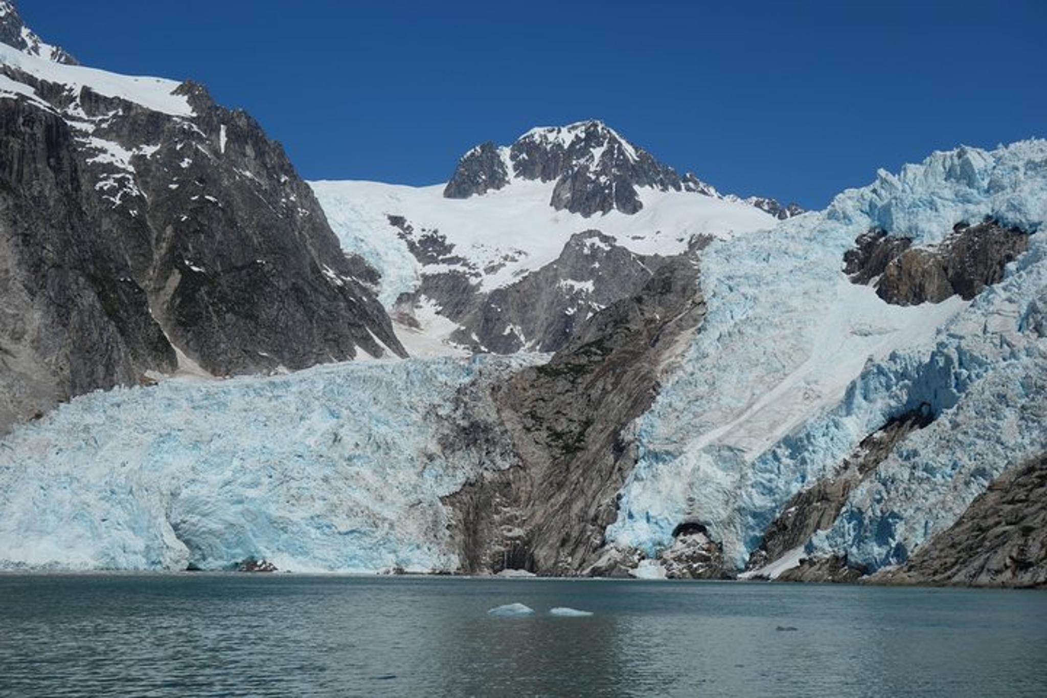 Seward Kenai Fjords National Park Cruise - Image 5