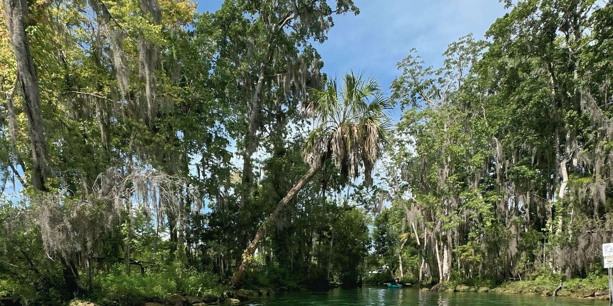 Crystal River Kayak and Paddleboard Rental - Image 4