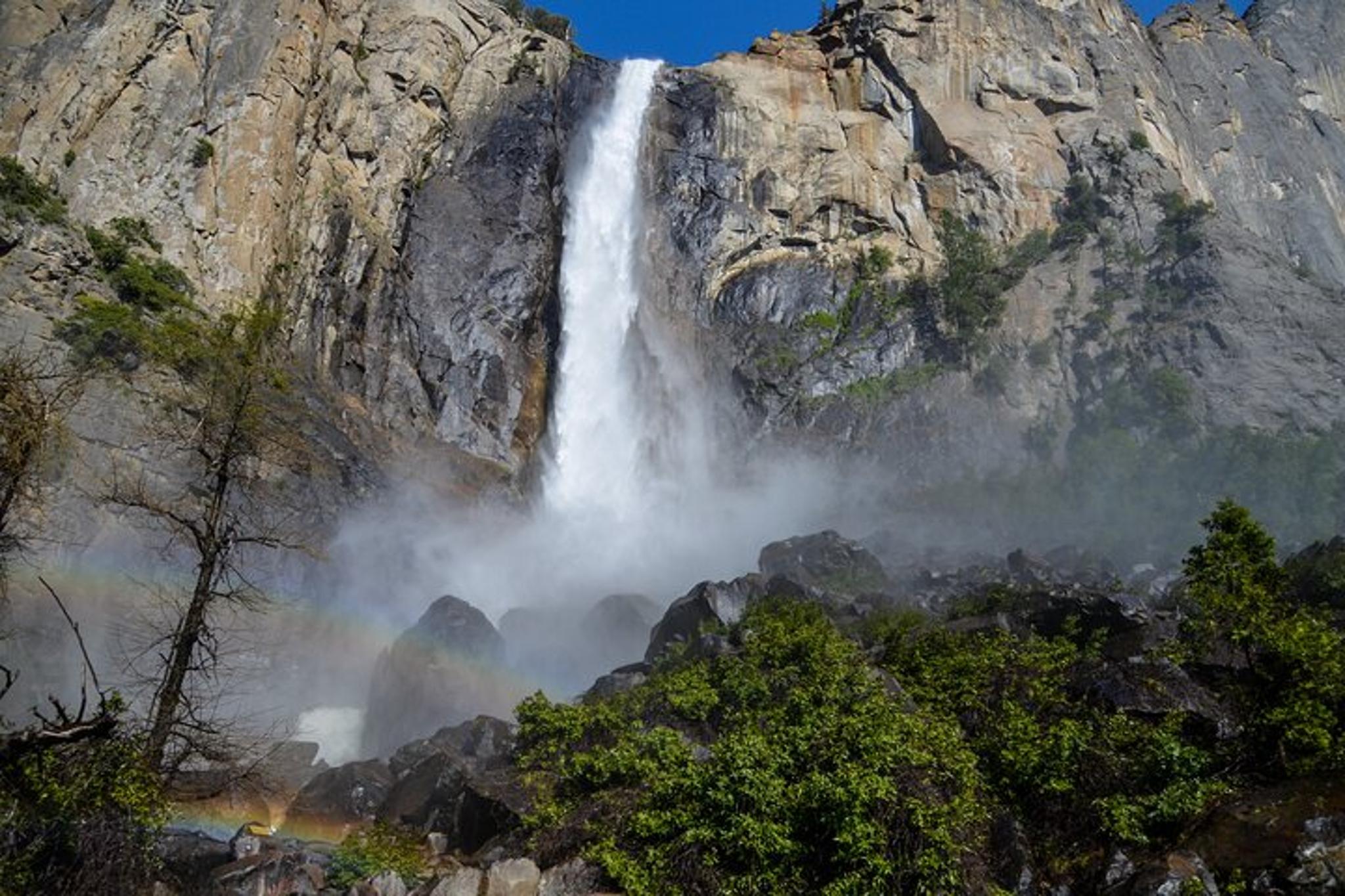 Yosemite National Park Private Tour 2 Days - Image 4