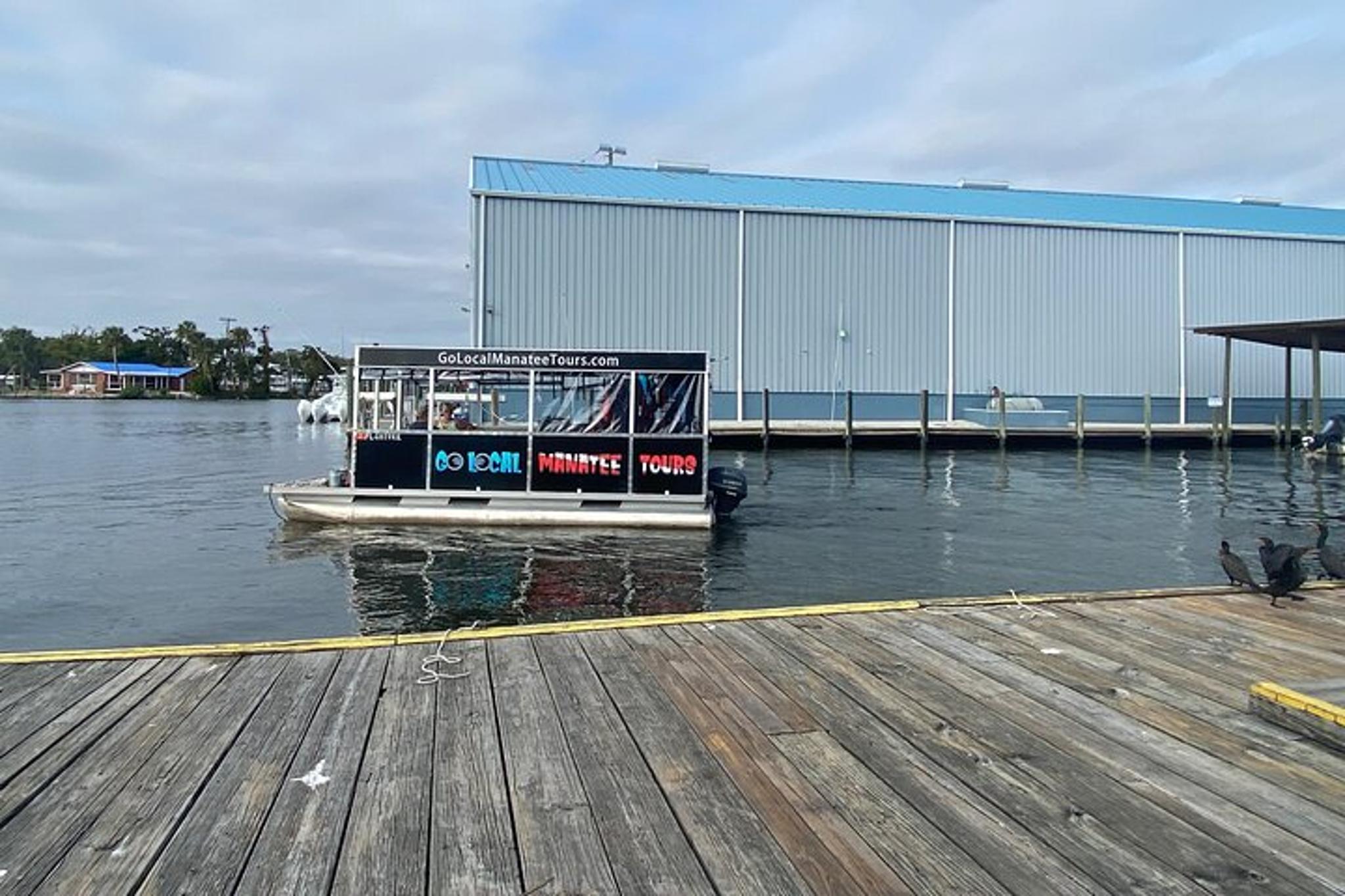 Crystal River Manatee Boat Tour - Image 4
