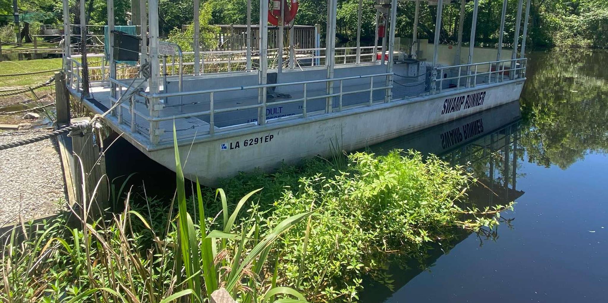 New Orleans Bayou Swamp and Oak Alley Plantation Tour - Image 6