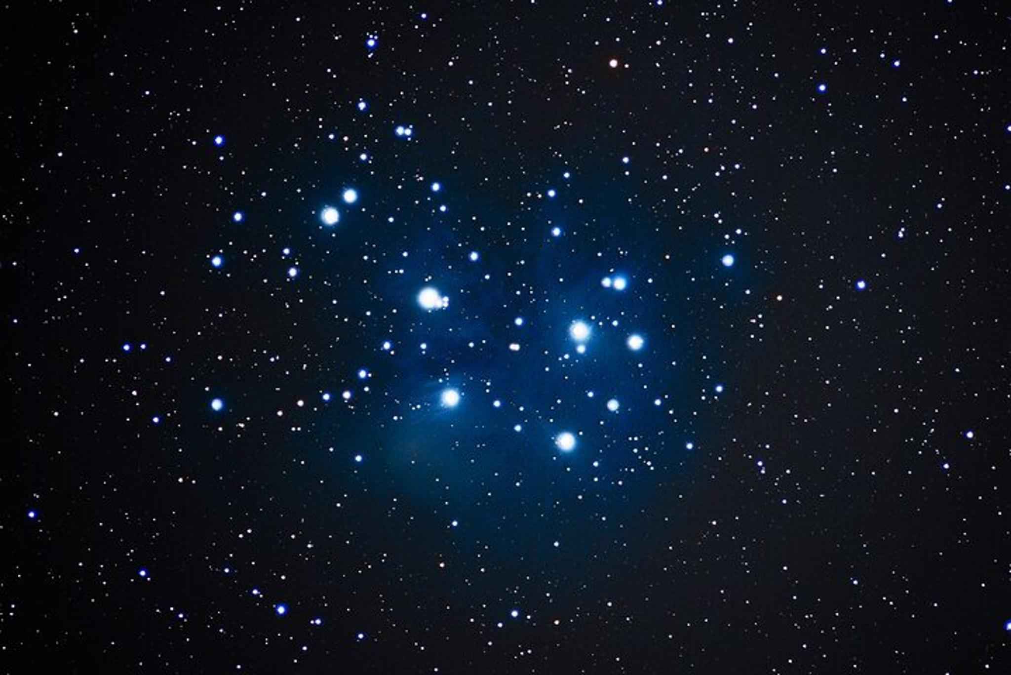 Punta Gorda Stargazing Tour - Image 5