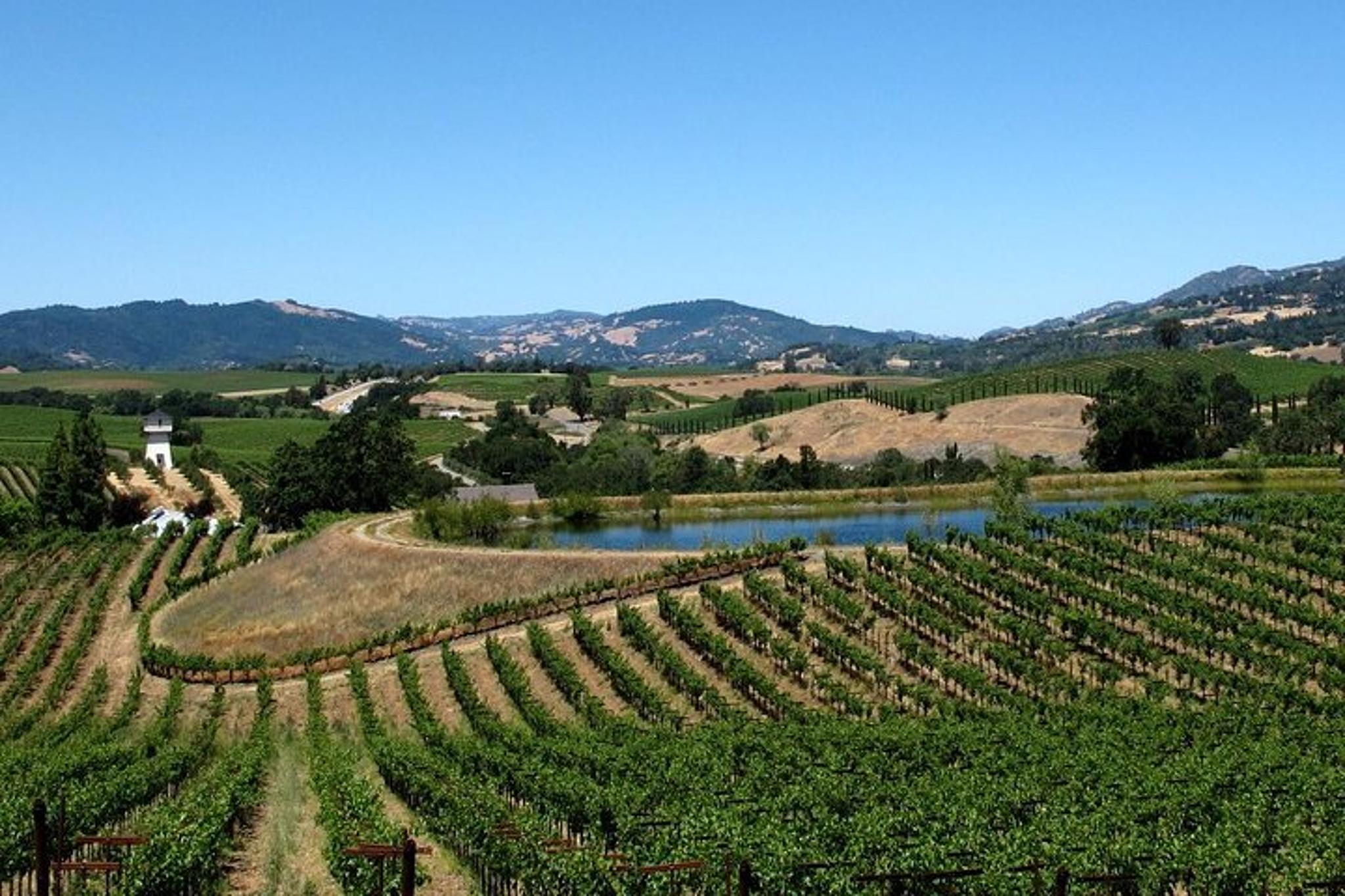 San Francisco Private Wine Tour 8 hr - Image 3