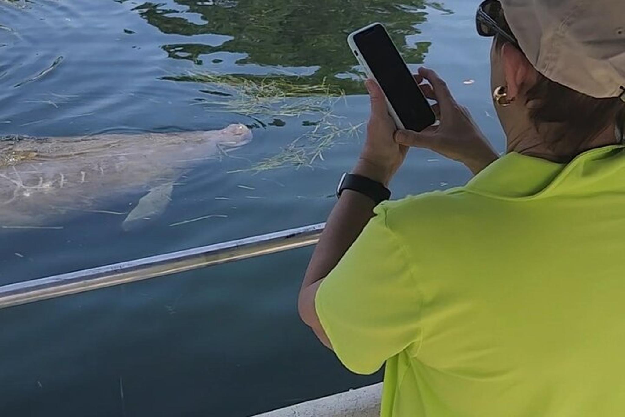 Crystal River Manatee Boat Tour - Image 2