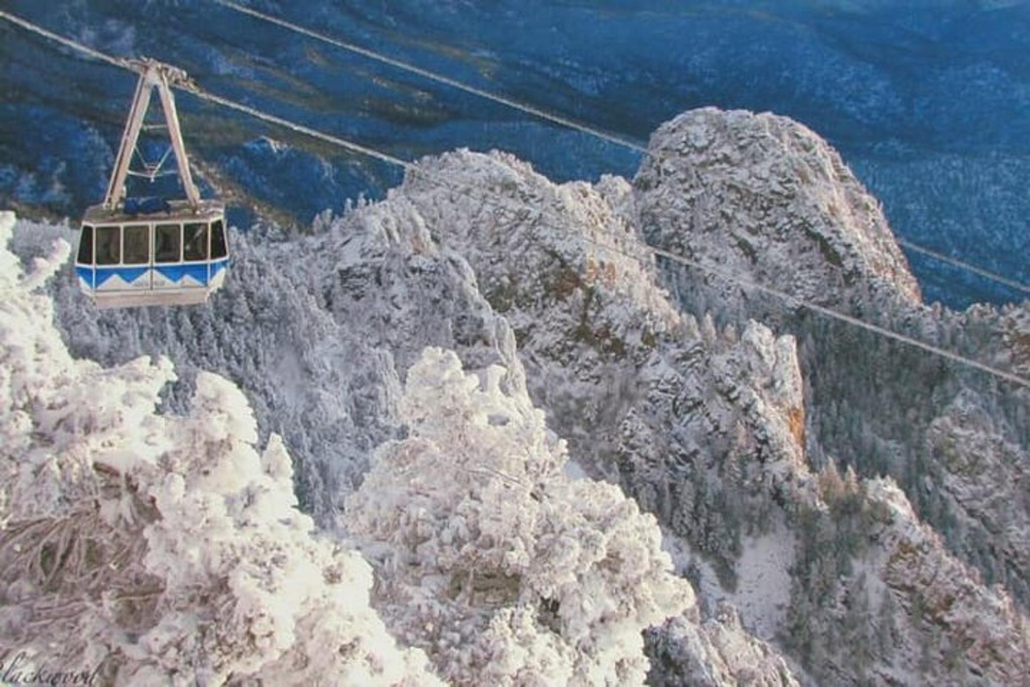 Albuquerque Snowshoe Experience at Sandia Peak - Image 6