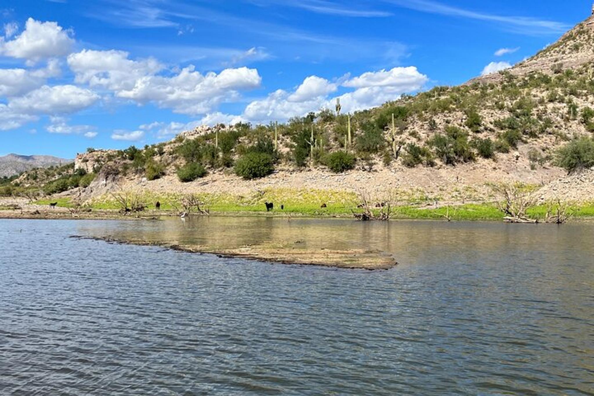 Lake Pleasant Boat Tour - Image 5
