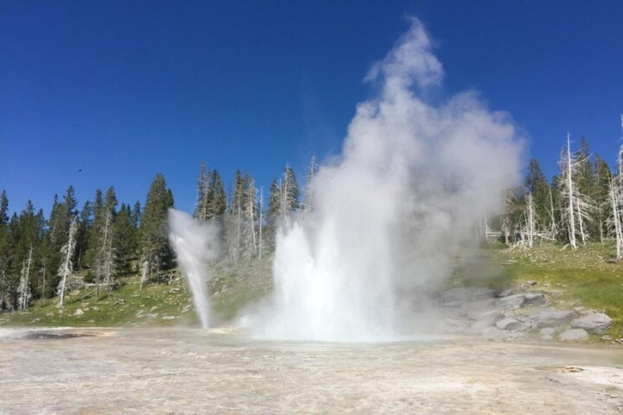 Salt Lake City Yellowstone and Mt Rushmore Tour 4 Days - Image 5