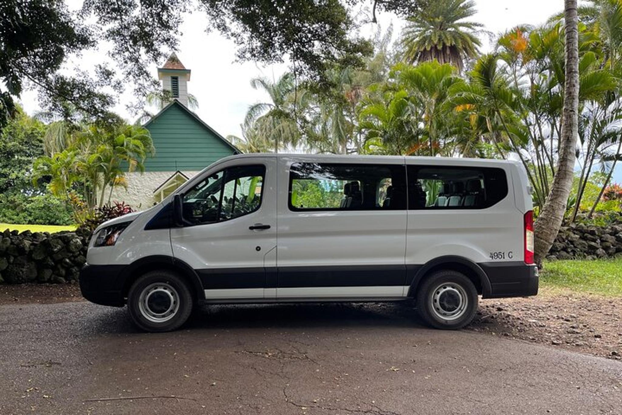 Maui Jungle Tour with Lahaina Pickup - Image 2