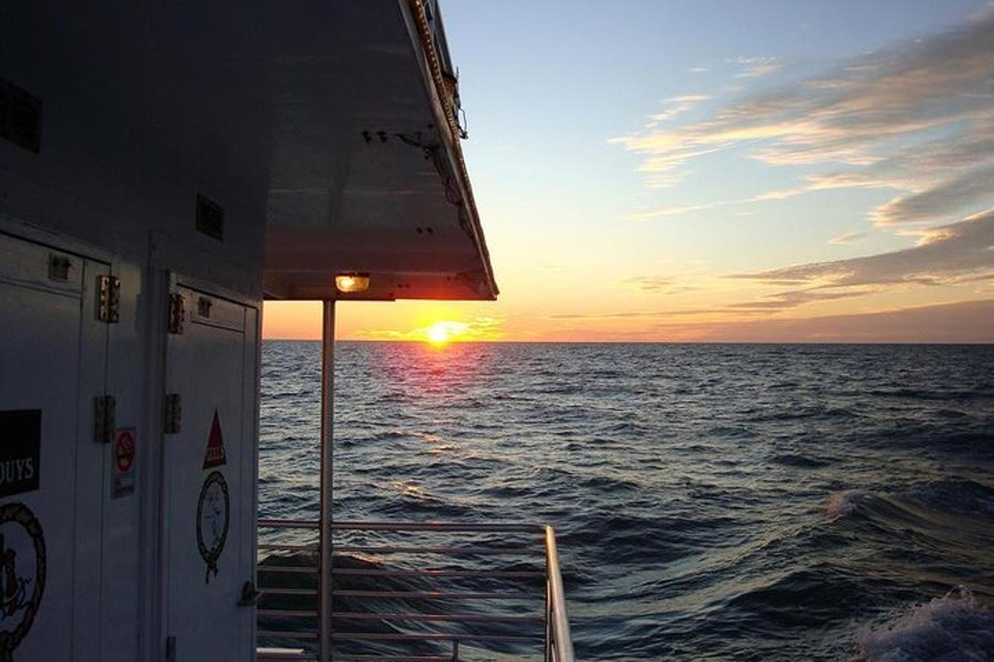 Naples Sunset Cruise in the Gulf of Mexico - Image 6