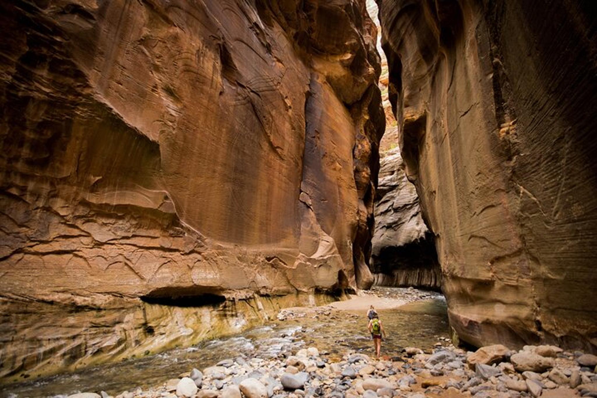 Zion Private Tour & Hike