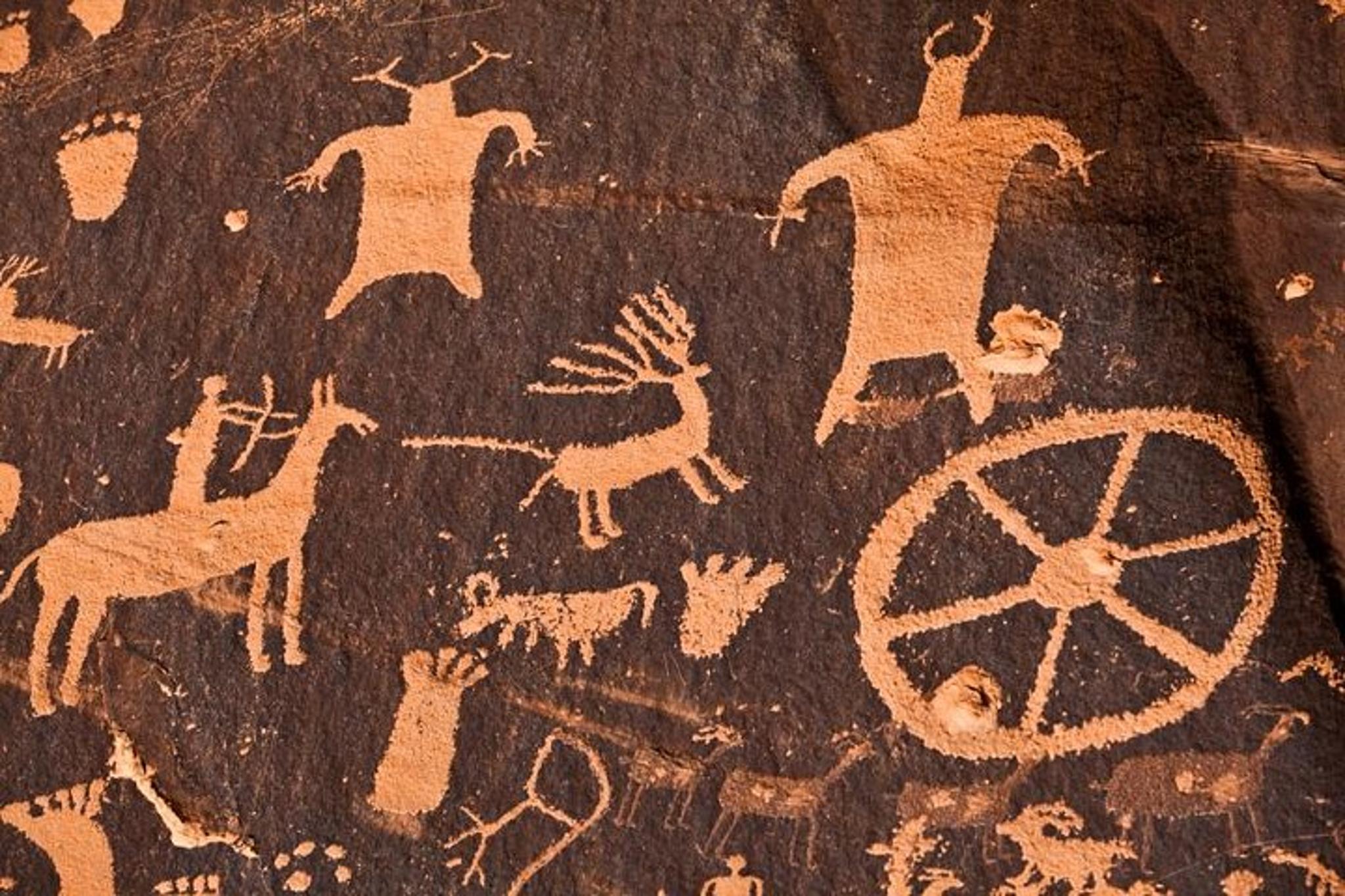 Flagstaff Colorado River Float Trip - Image 6