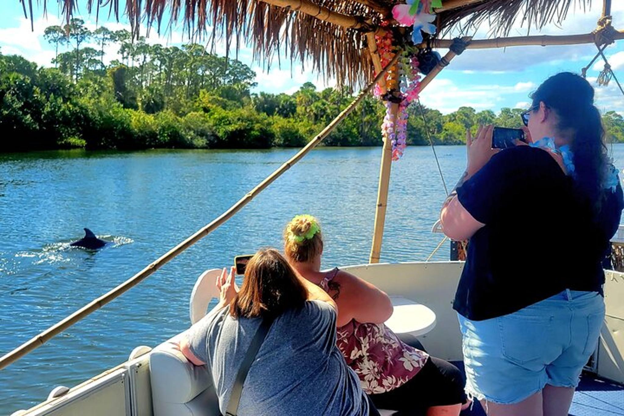 Cocoa Beach Dolphin Sightseeing Tour 2 hr - Image 2