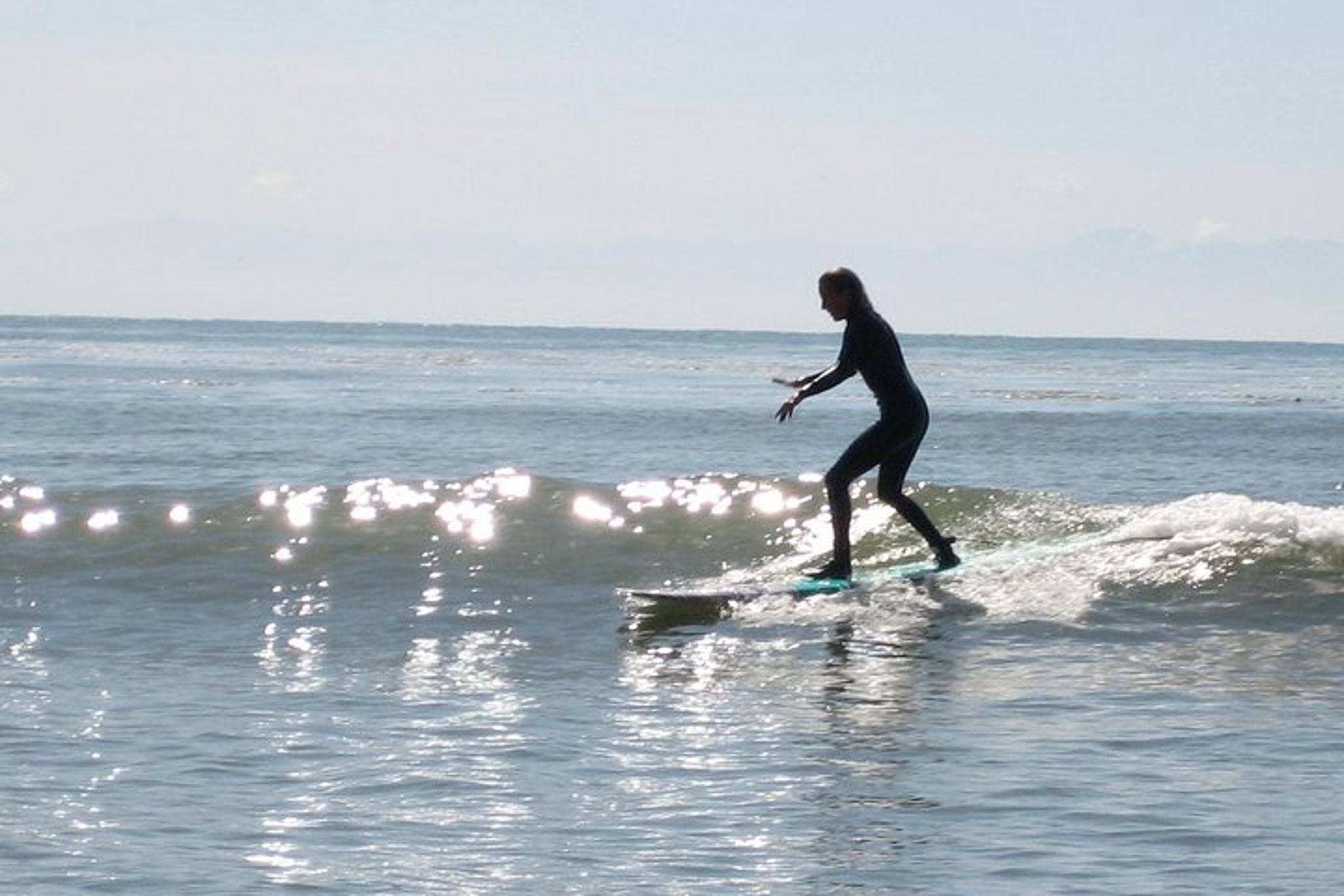 Santa Cruz Surf Lesson for Beginners - Image 3