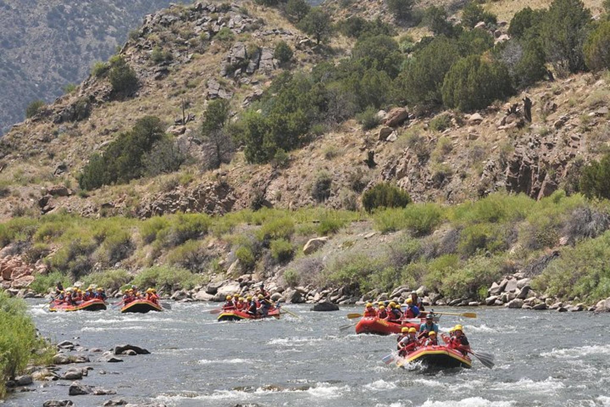 Cañon City Bighorn Sheep Canyon Rafting Tour - Image 5