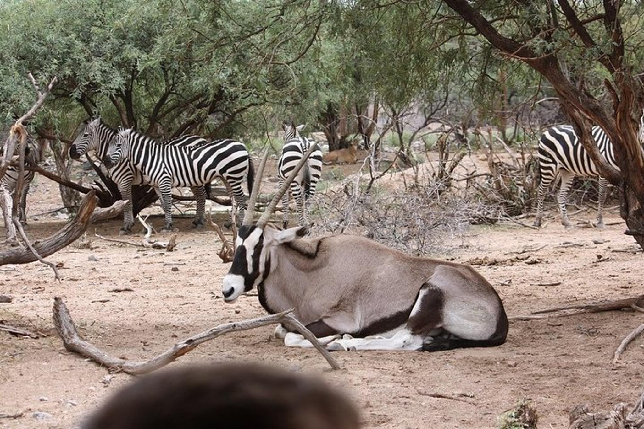 Camp Verde Wildlife Park Admission - Image 2
