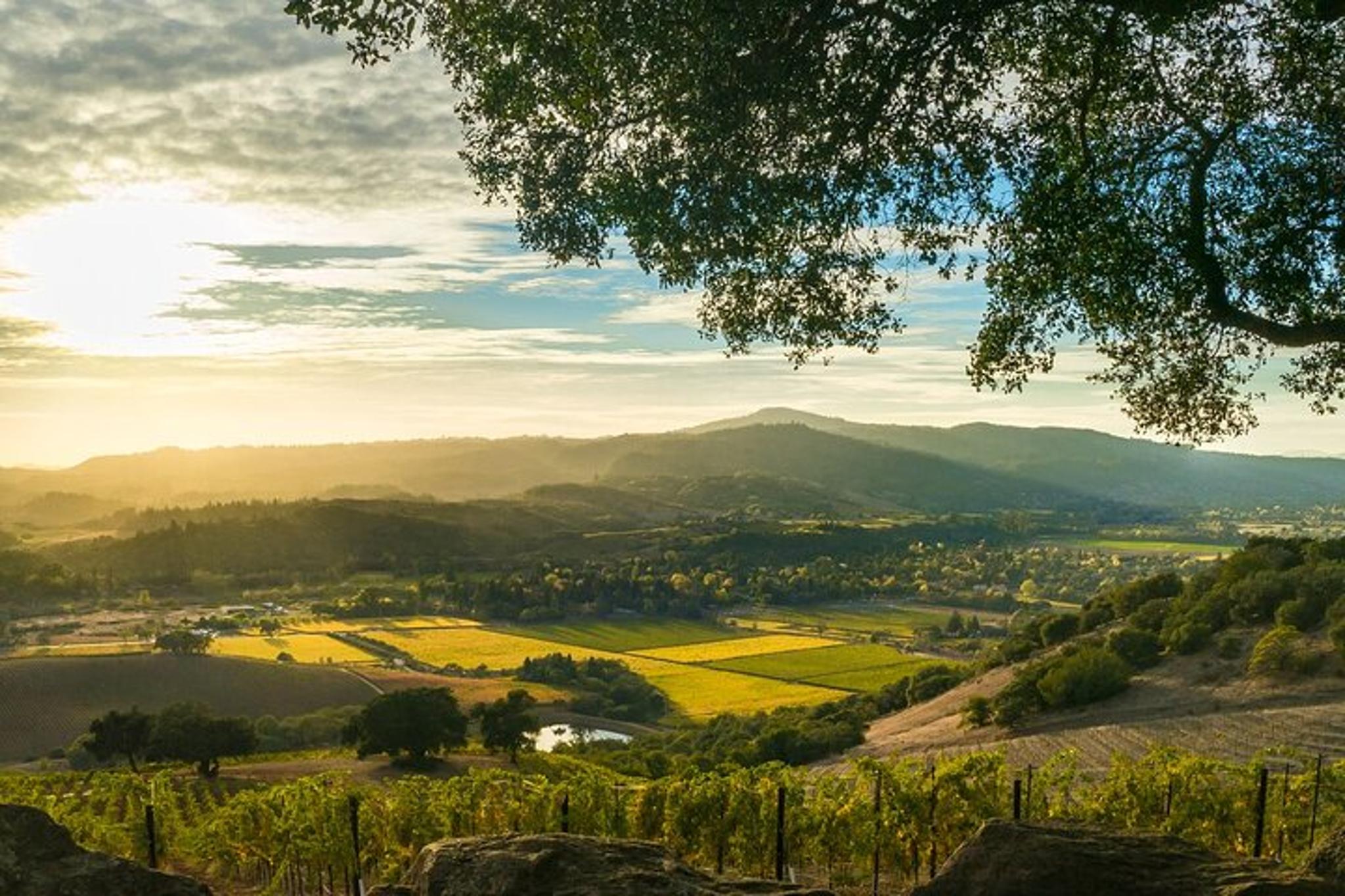 San Francisco Russian River Valley Wine Tour