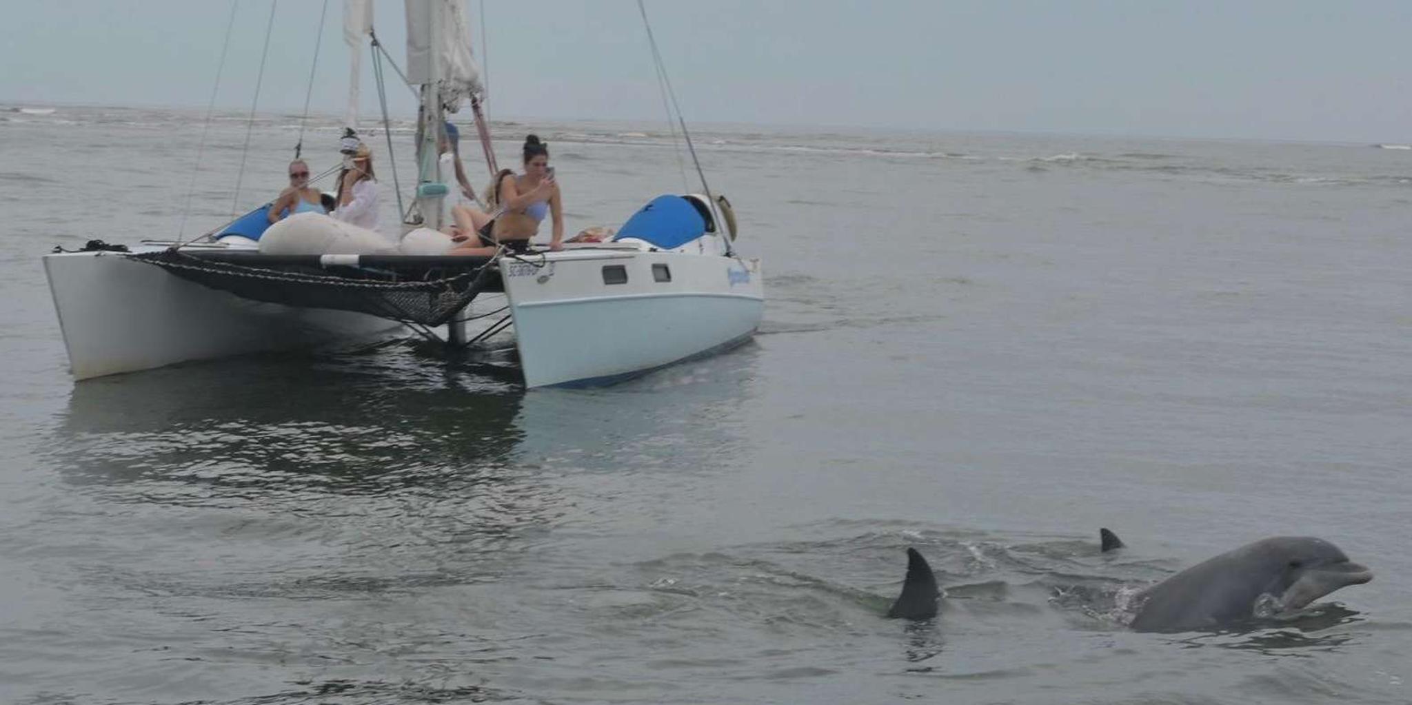 Folly Beach Sailing Tour at Sunset - Image 6