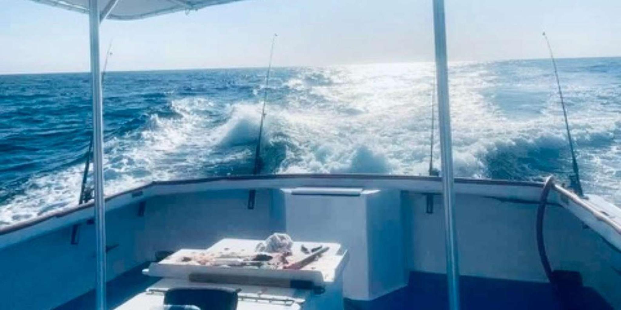 Panama City Beach Dolphin Tour - Image 5