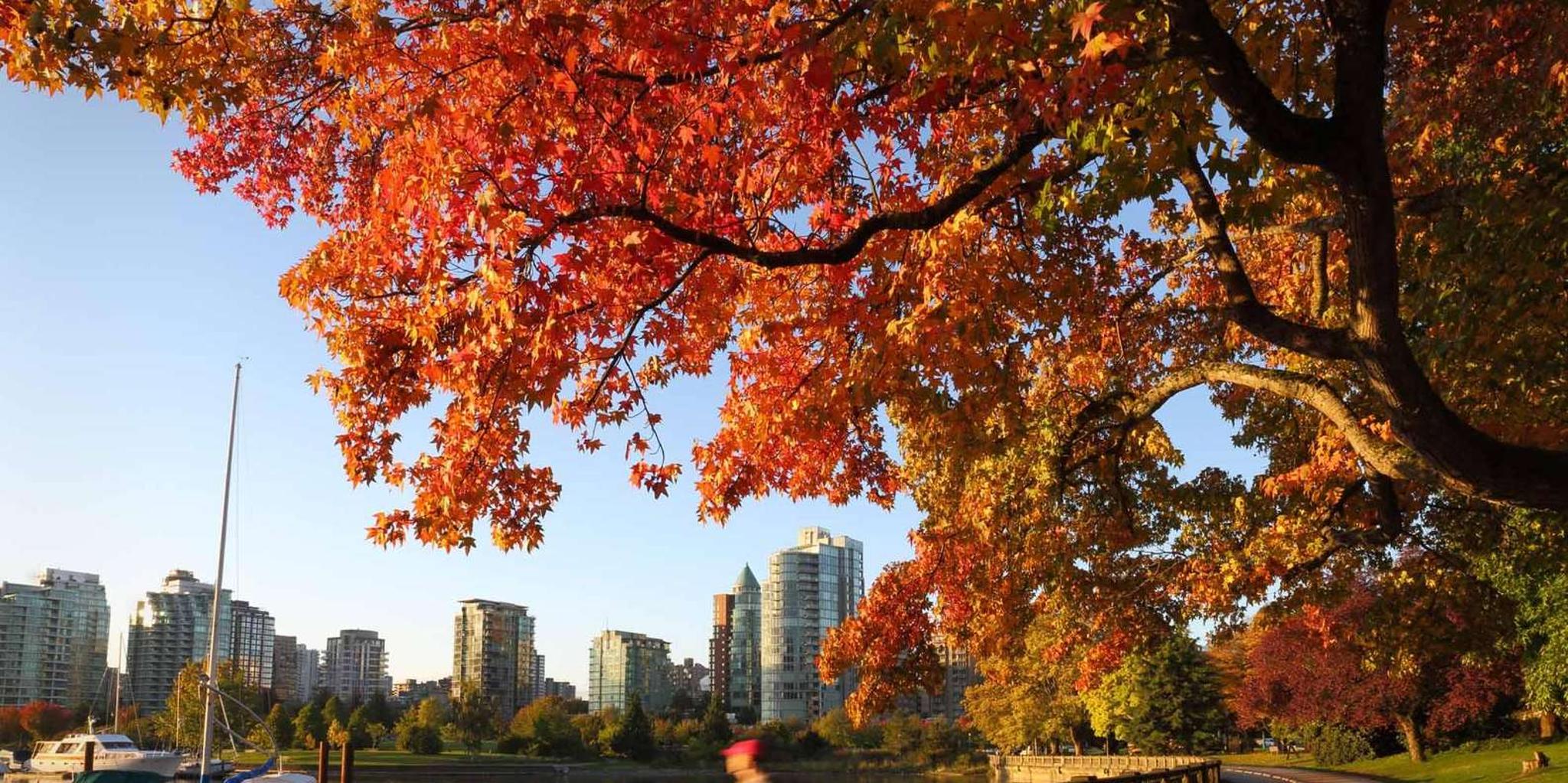 Seattle Vancouver Private Day Tour