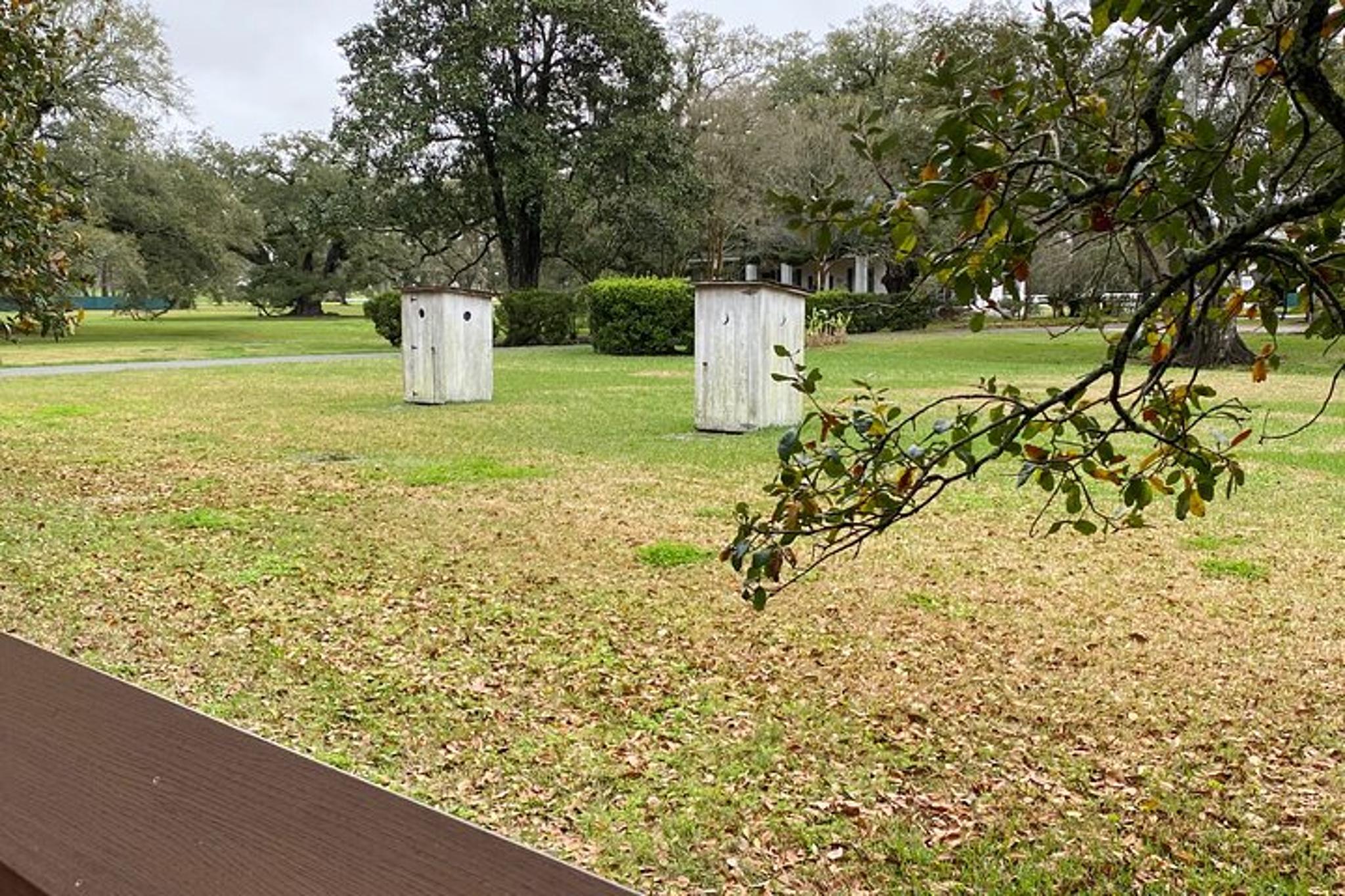 New Orleans Oak Alley Plantation and Airboat Tour - Image 6