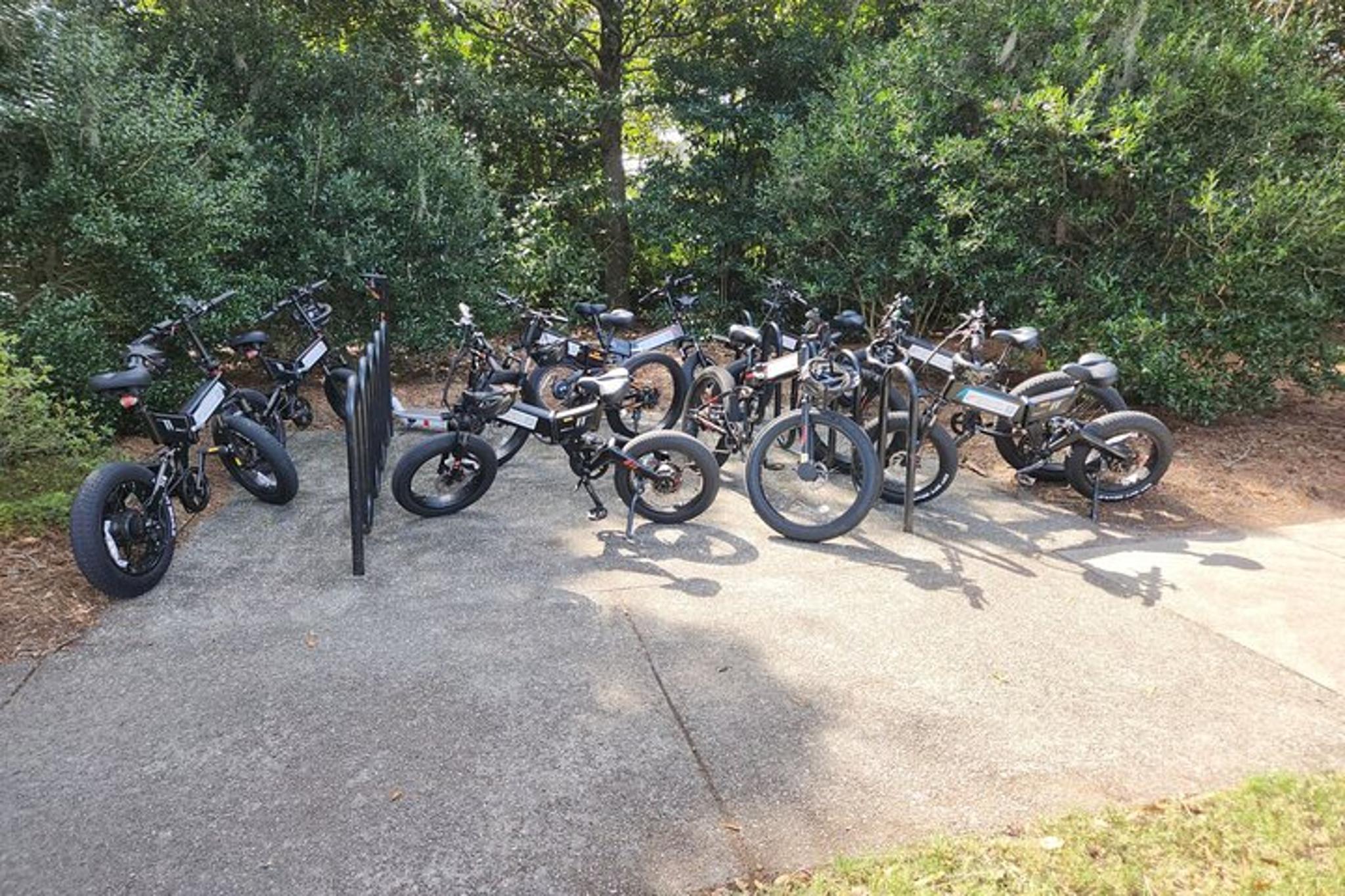 Wilmington E-Bike Tour of Airlie Gardens - Image 2