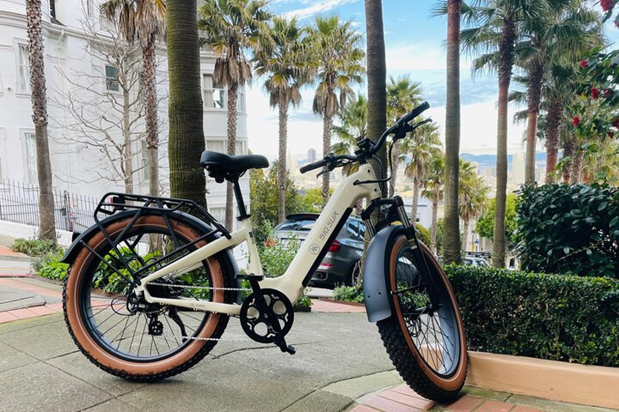 San Francisco E-Bike Tour - Image 2