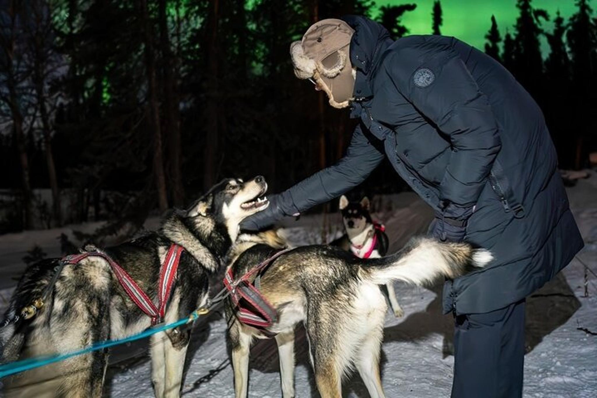 Fairbanks Dog Sledding and Northern Lights Combo - Image 2